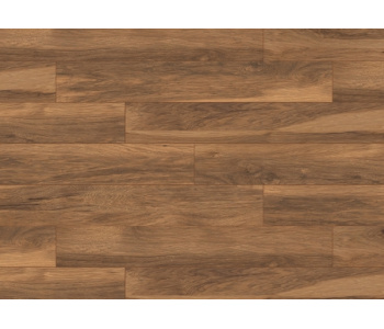 appalachian_hickory